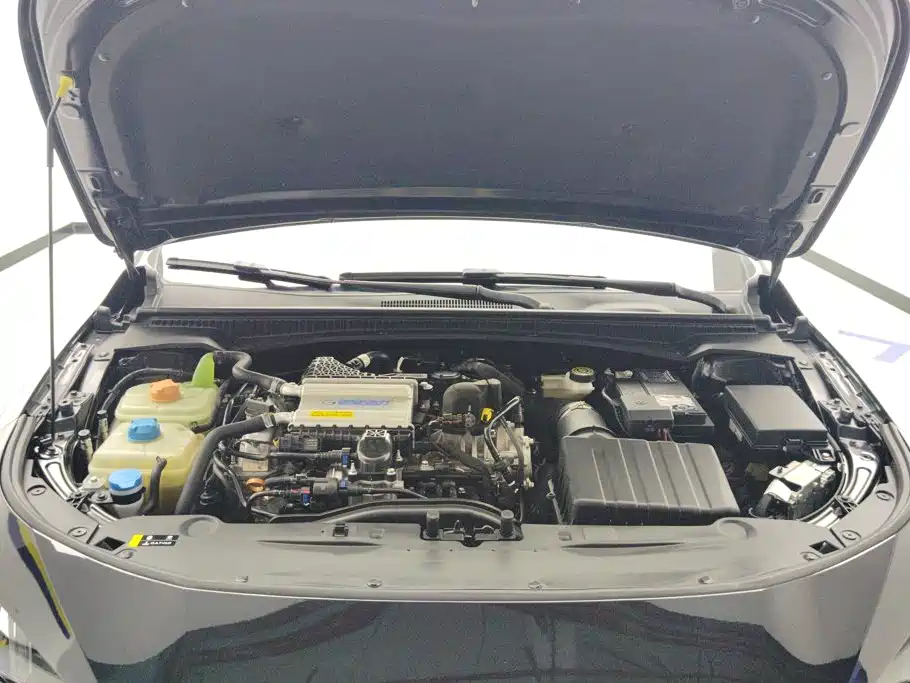 GAC Motor Shadow Leopard — миниатюра 10