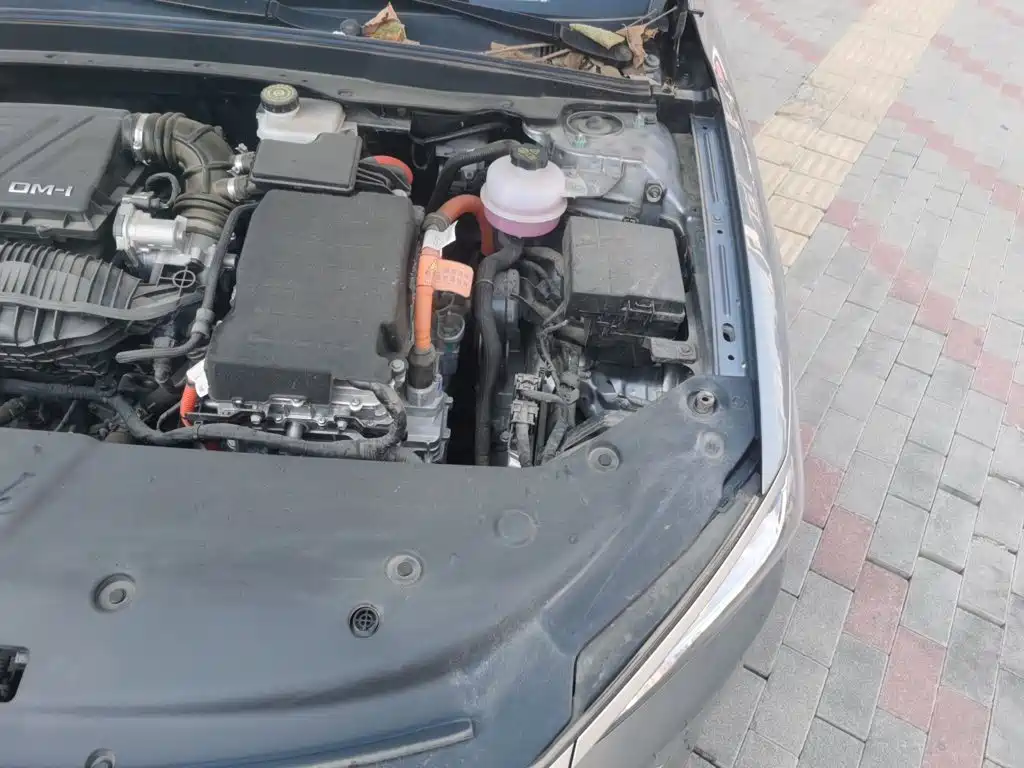 BYD Qin PLUS — миниатюра 24