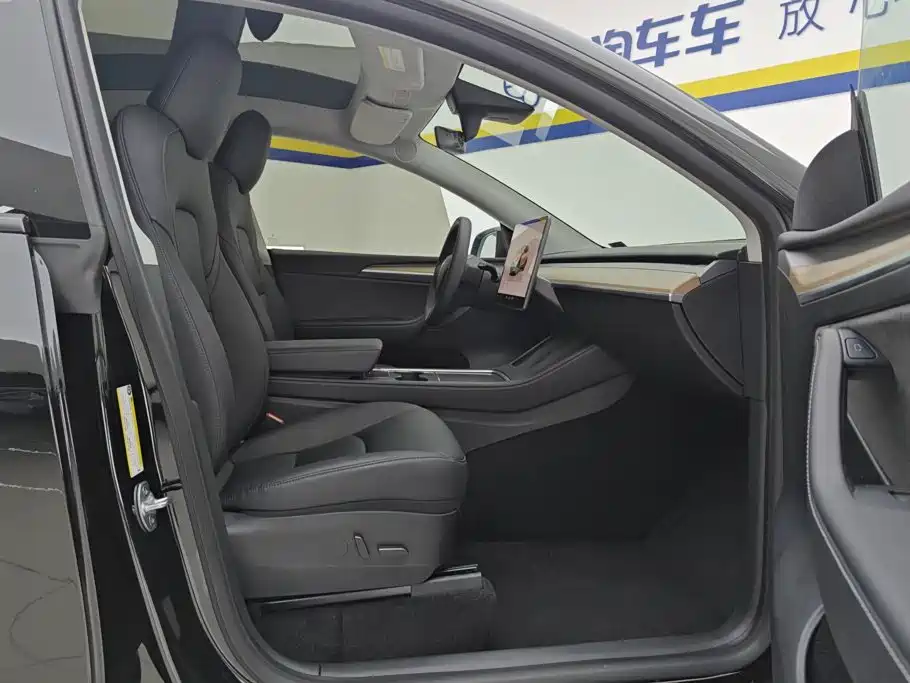 Tesla Model Y — миниатюра 8