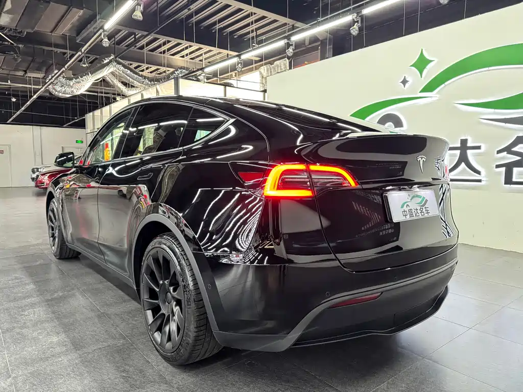 Tesla Model Y — миниатюра 4