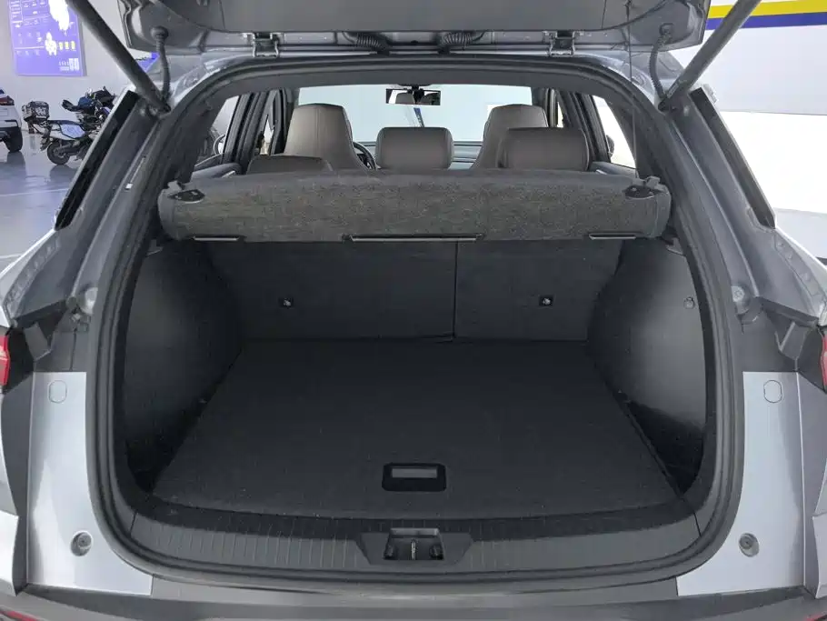 BYD Pro New Energy — миниатюра 4