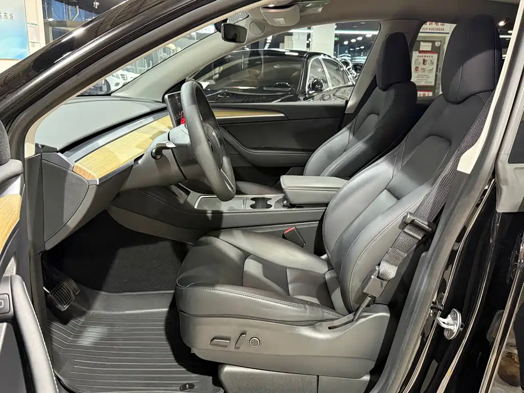 Tesla Model Y — миниатюра 4