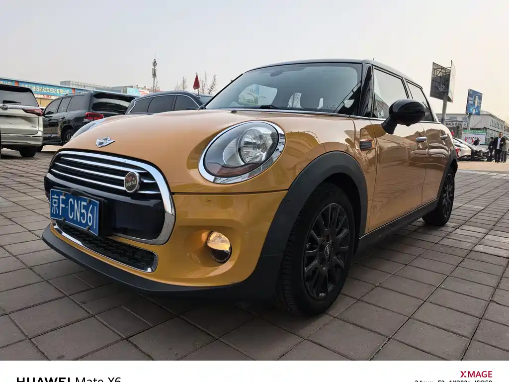 Mini Mini 2016