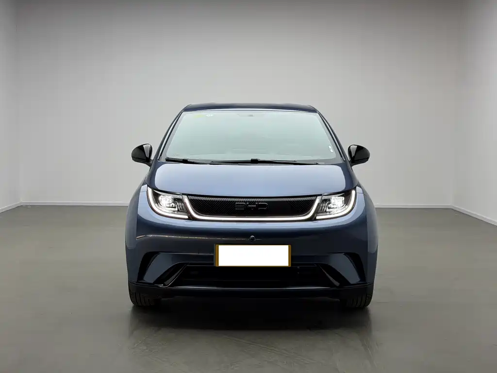 BYD Dolphin 2025 420km Freedom