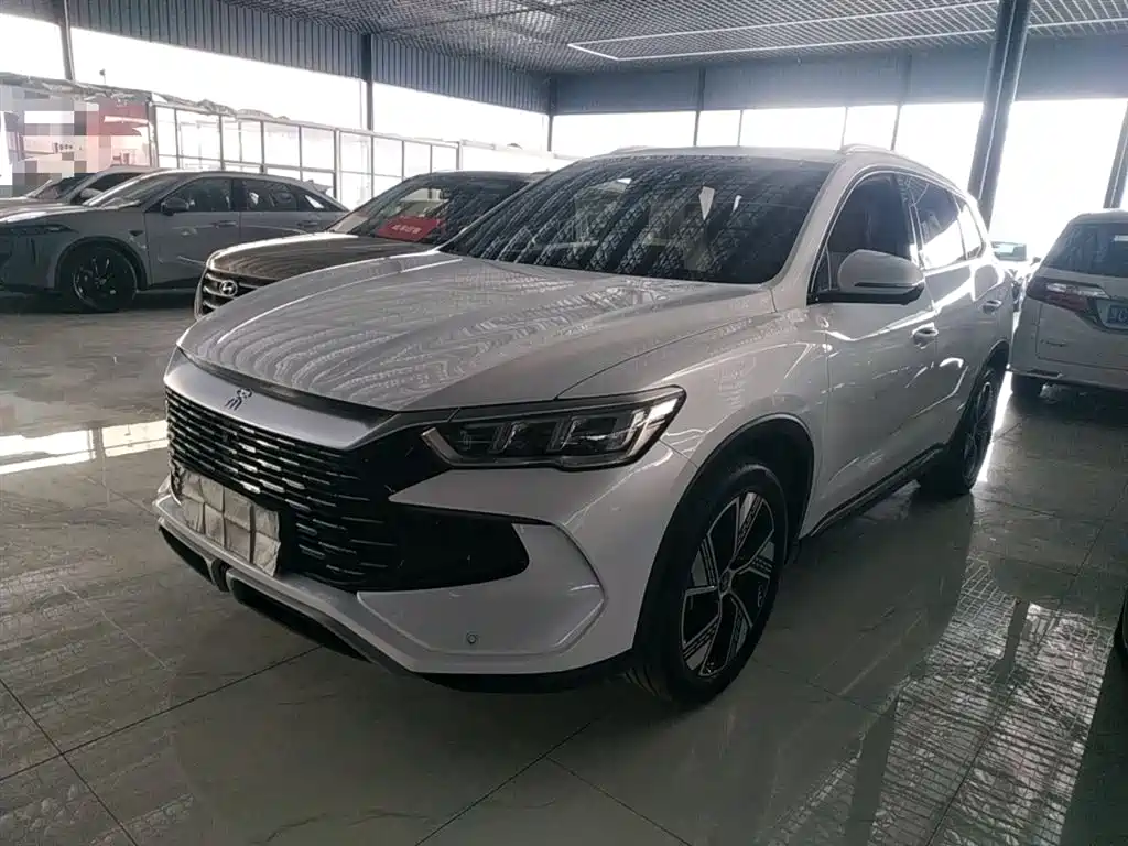 BYD Pro New Energy 2024
