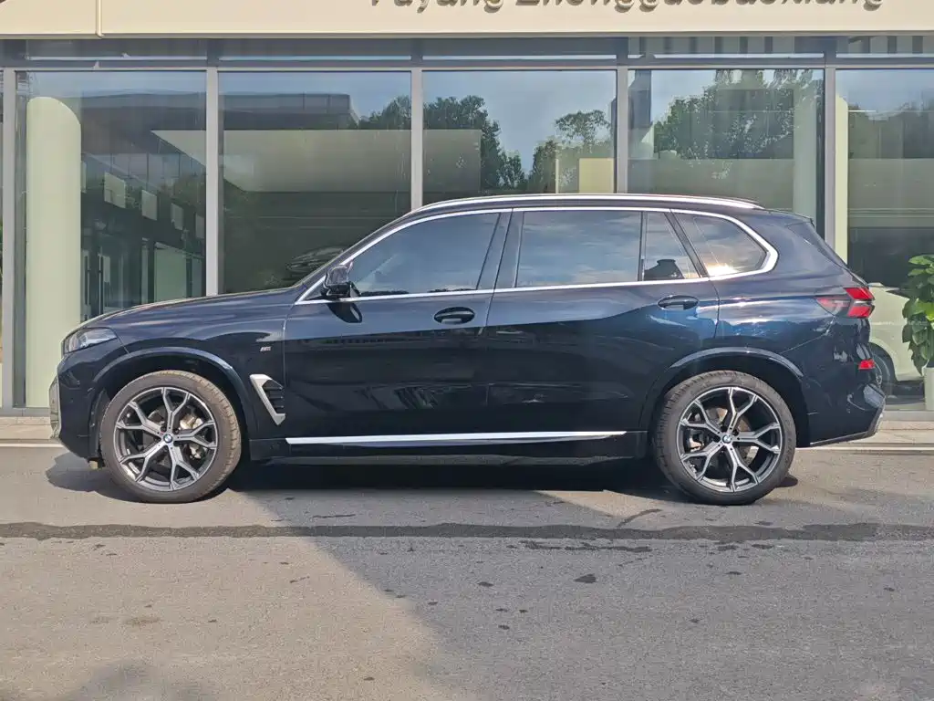 BMW X5 — миниатюра 4