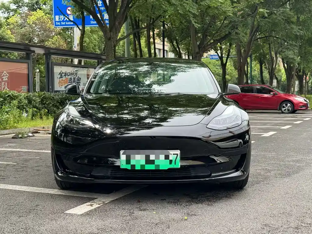 Tesla Model 3 — миниатюра 2