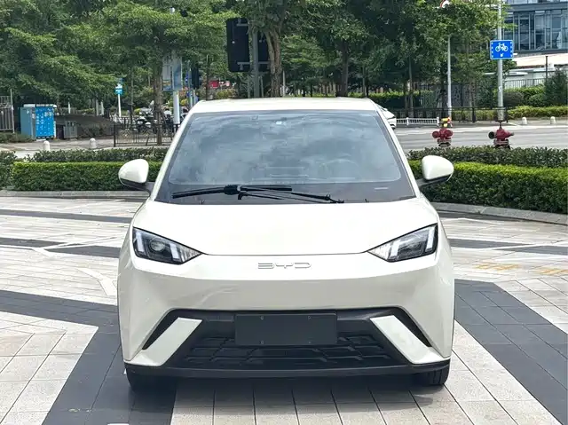 BYD 海鸥