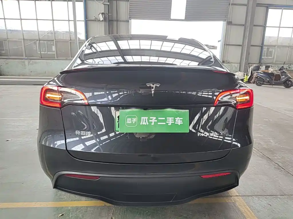 Tesla Model Y — миниатюра 6