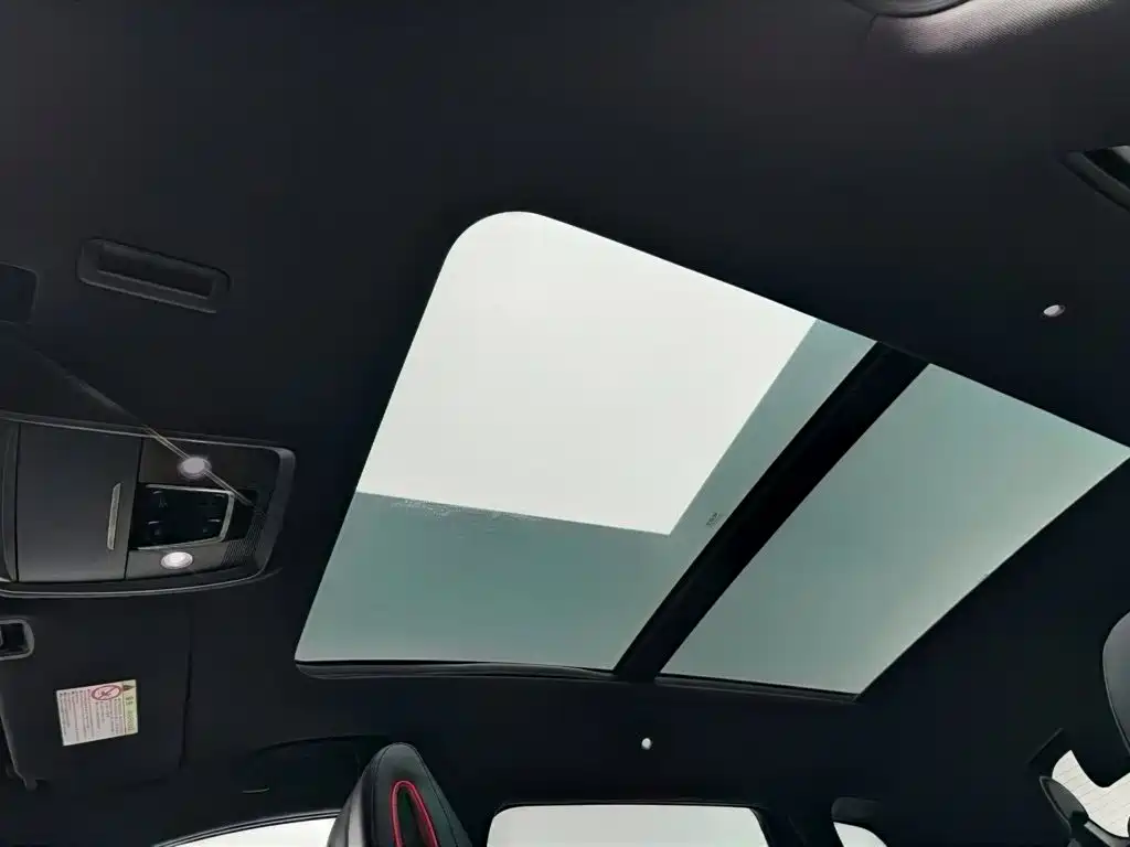 BYD PLUS — миниатюра 14