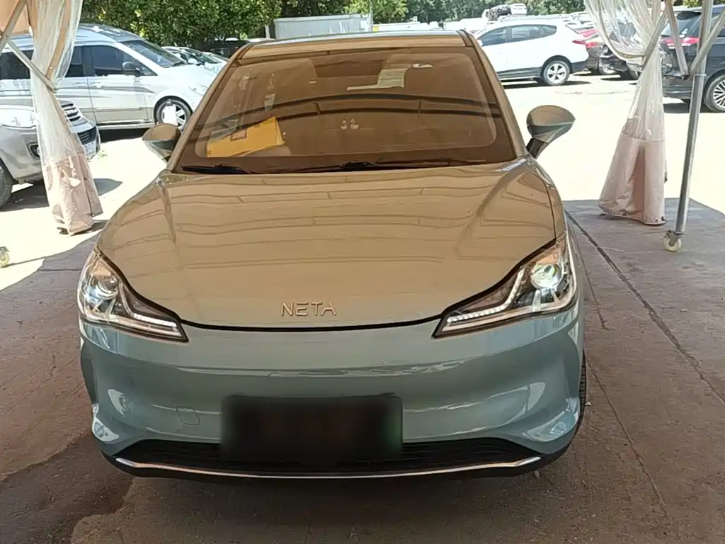 Neta Neta V — миниатюра 3