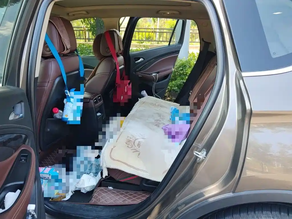Buick Envision Plus — миниатюра 15