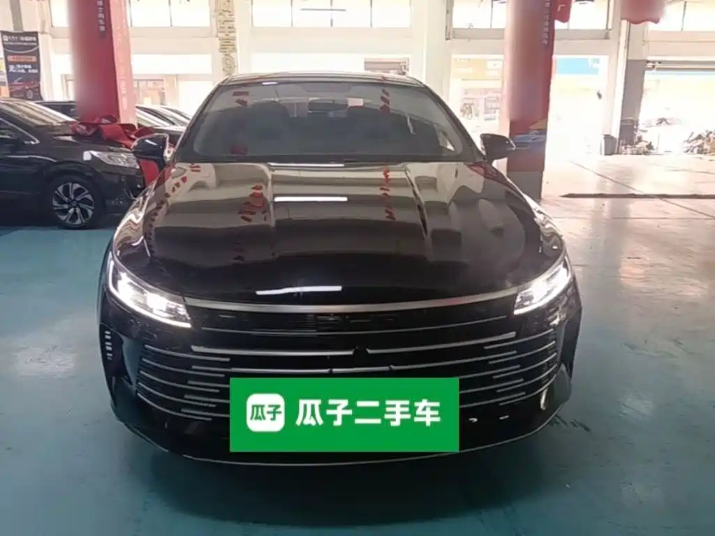 BYD Destroyer 05 2024 DM-i 55KM Luxury