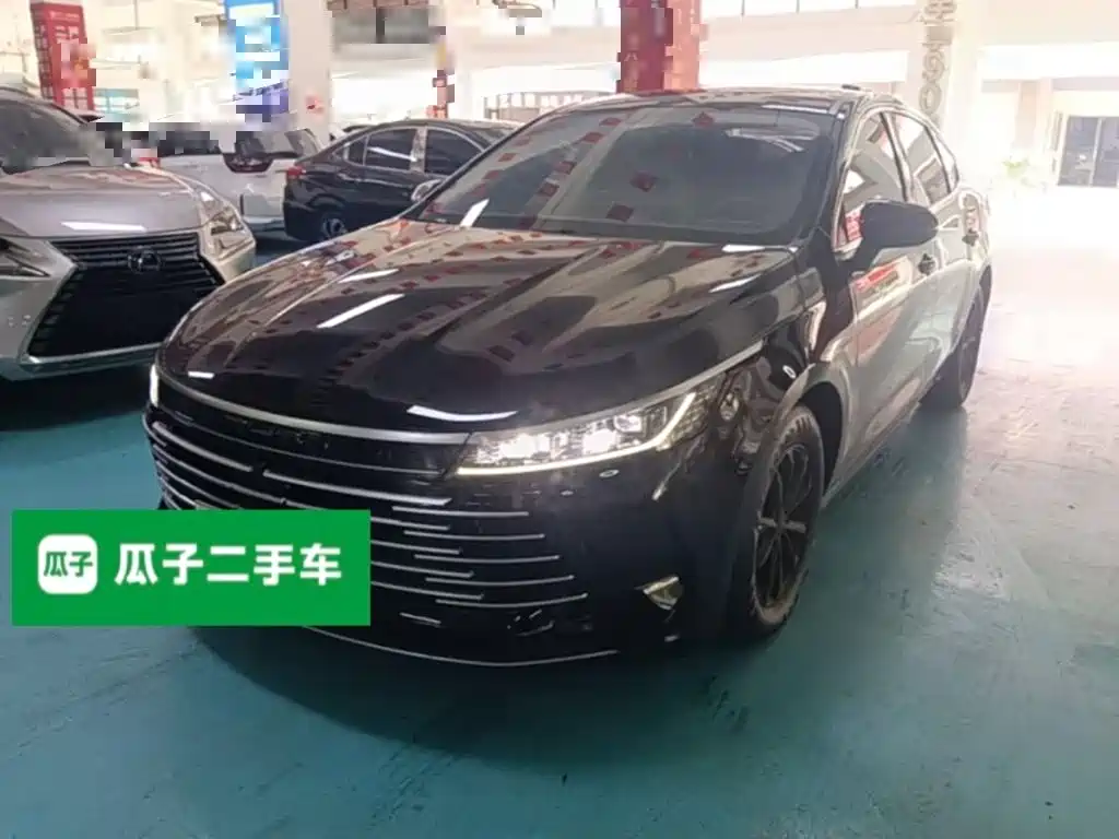 BYD Destroyer 05 2024 DM-i 55KM Luxury