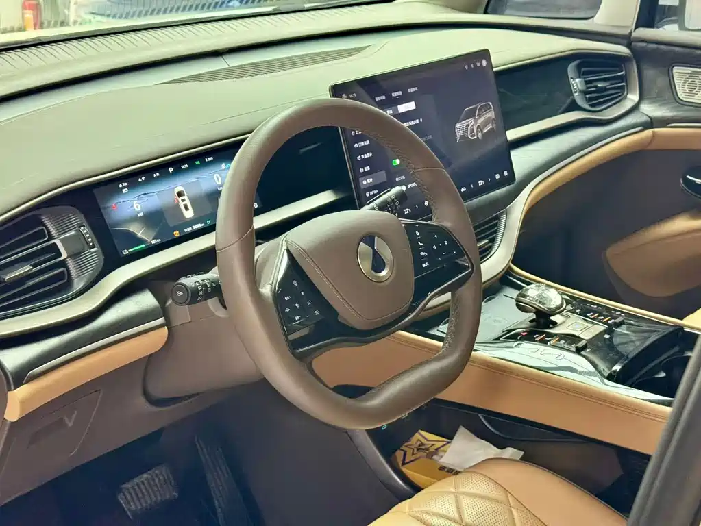 Denza Denza D9 — миниатюра 3