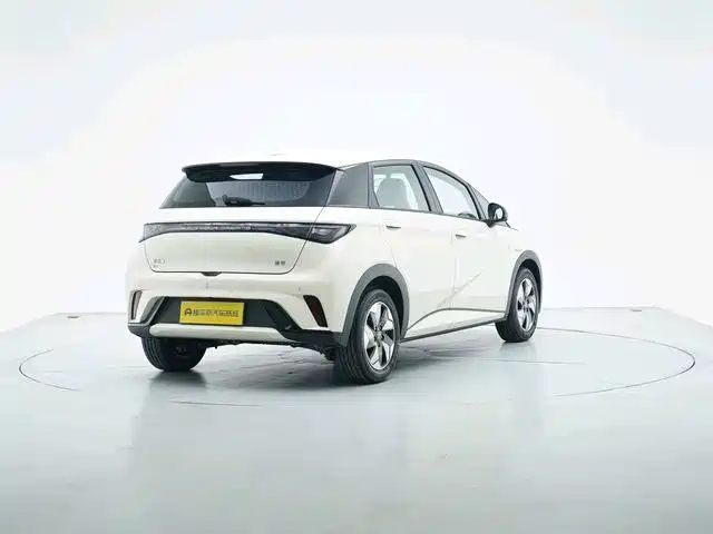 BYD Dolphin — миниатюра 5