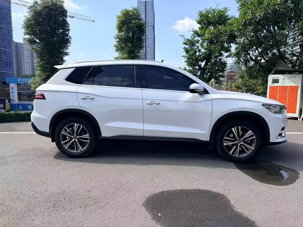 BYD Pro — миниатюра 4