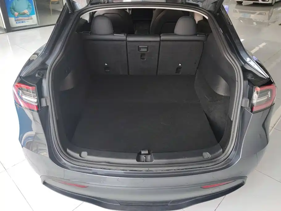 Tesla Model Y — миниатюра 4