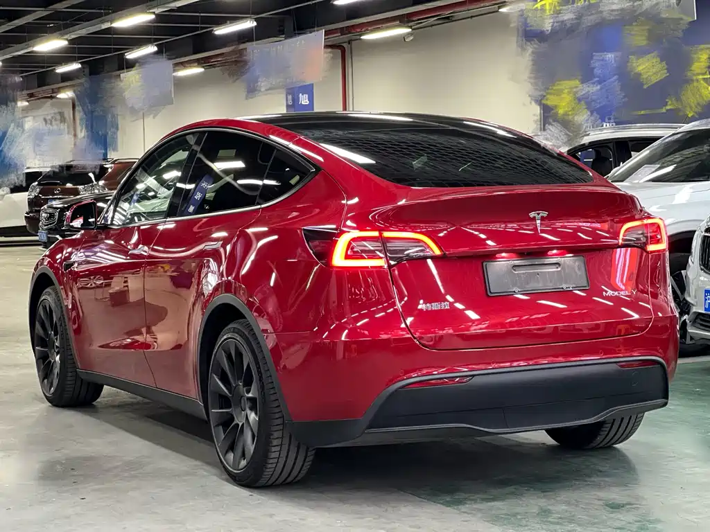 Tesla Model Y — миниатюра 6