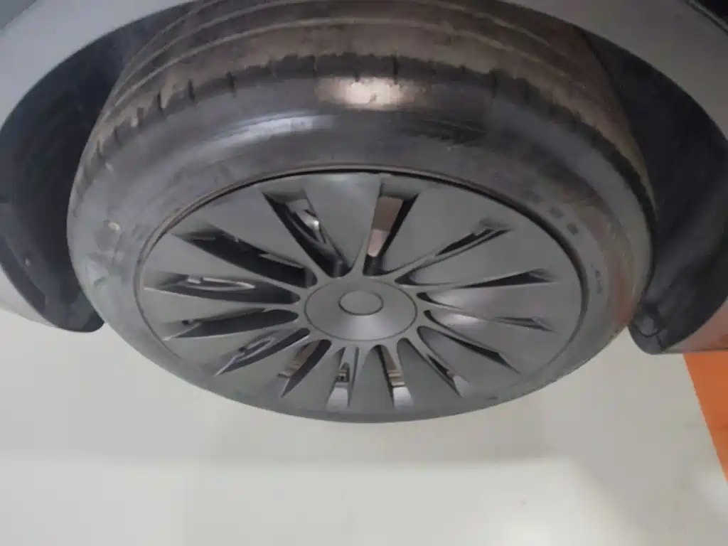 Tesla Model Y — миниатюра 23