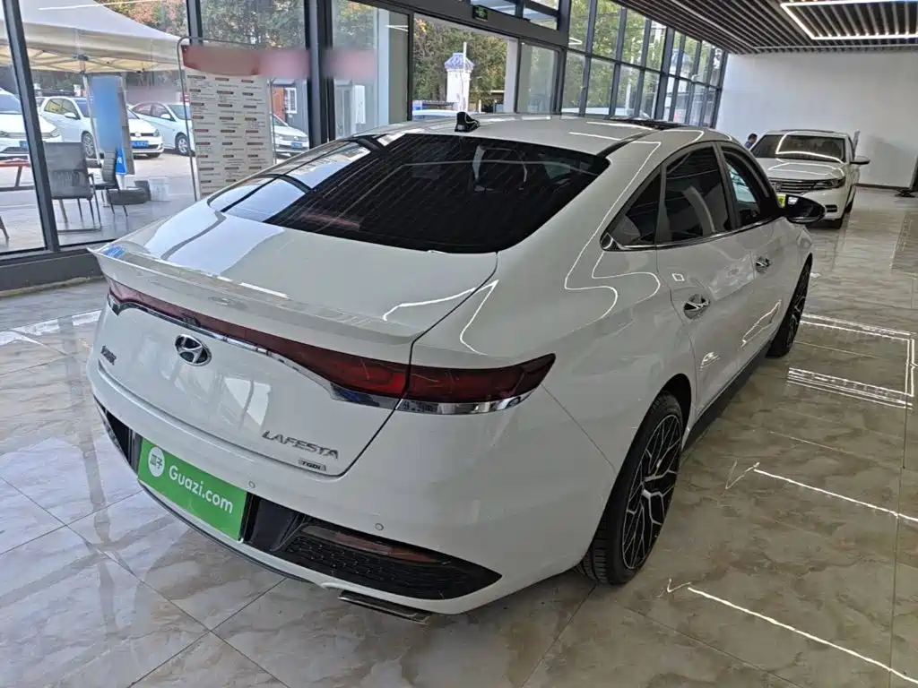 Hyundai Fista — миниатюра 7