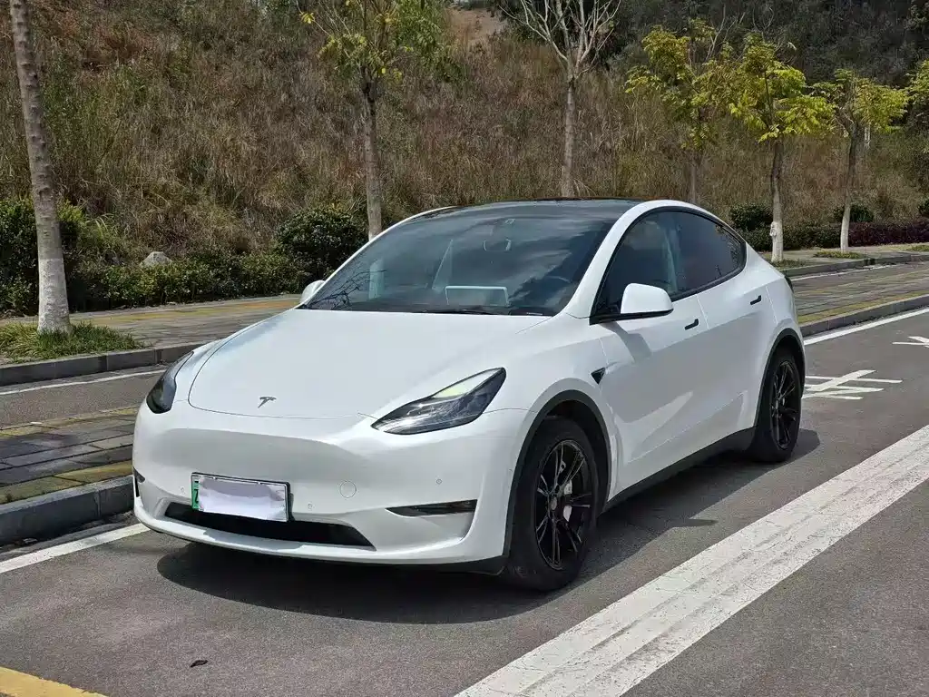 Tesla Model Y 2021