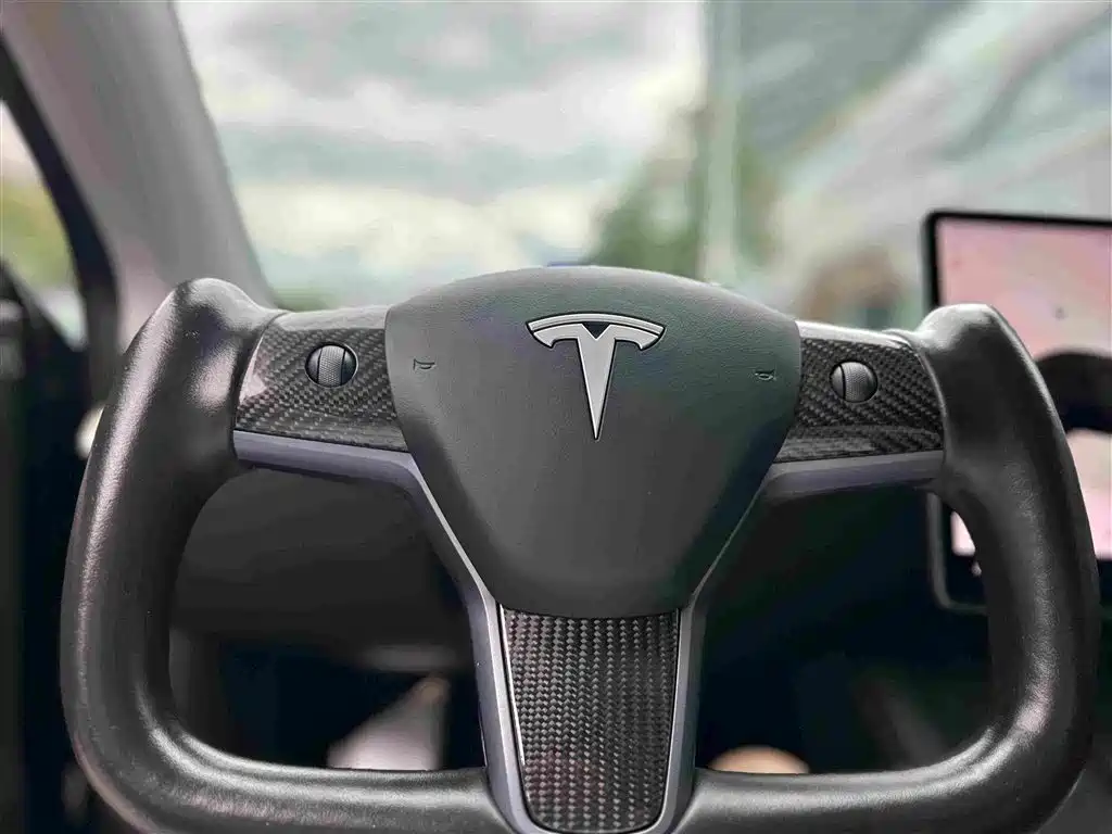 Tesla Model Y — миниатюра 13
