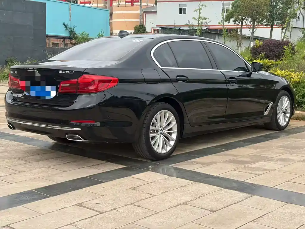 BMW 5 Series 5 2019 530Li Lead Luxury