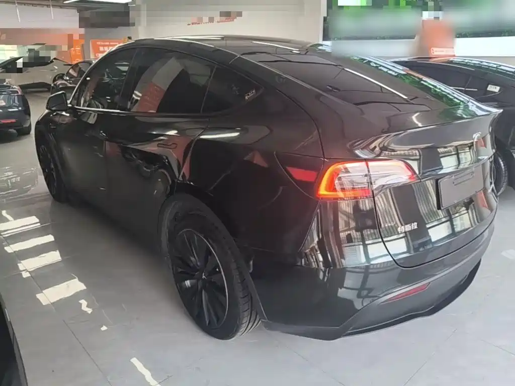 Tesla Model Y — миниатюра 5