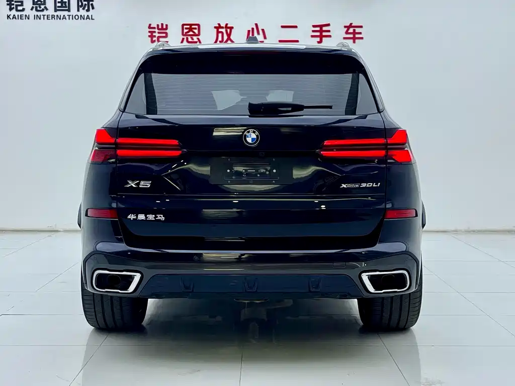 BMW X5 — миниатюра 25