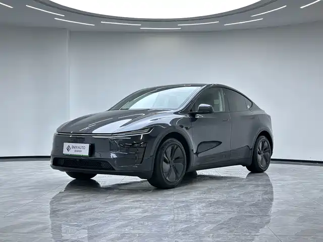TESLA MODEL Y 2025
