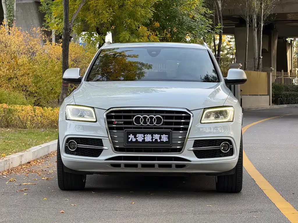 Audi SQ5 — миниатюра 4