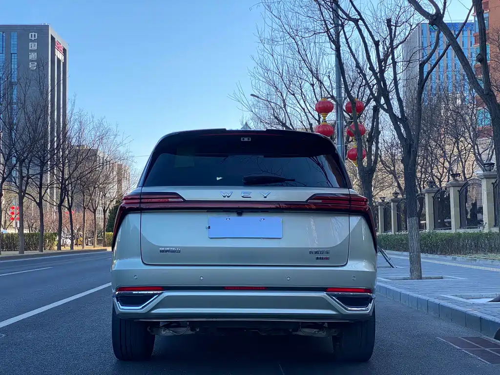 WEI PAI WEI BRAND BLUE MOUNTAIN