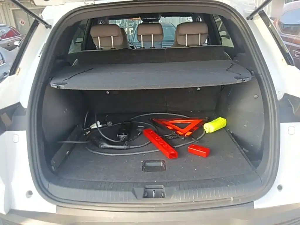 BYD Pro New Energy — миниатюра 19