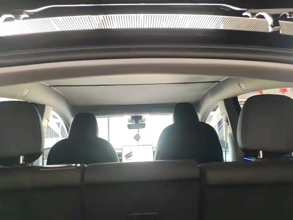 Tesla Model Y — миниатюра 18