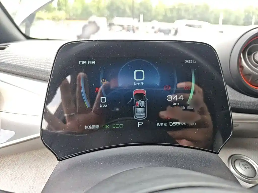 BYD Dolphin 2021 405km Freedom