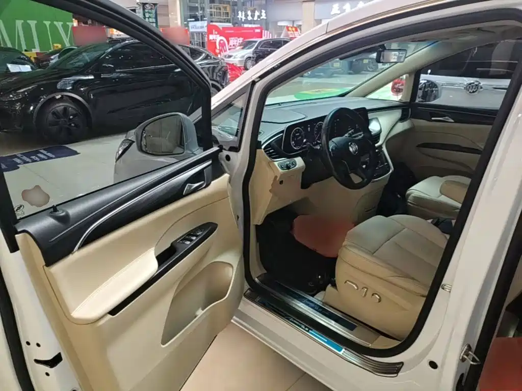 Buick GL8 — миниатюра 16