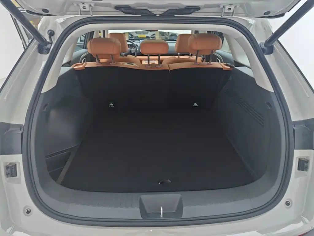 Haval Xiaolong MAX — миниатюра 19