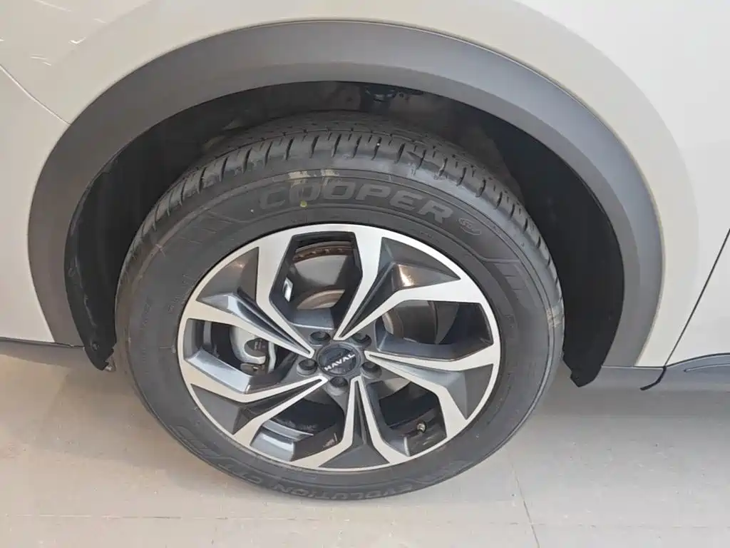 Haval Xiaolong MAX — миниатюра 23