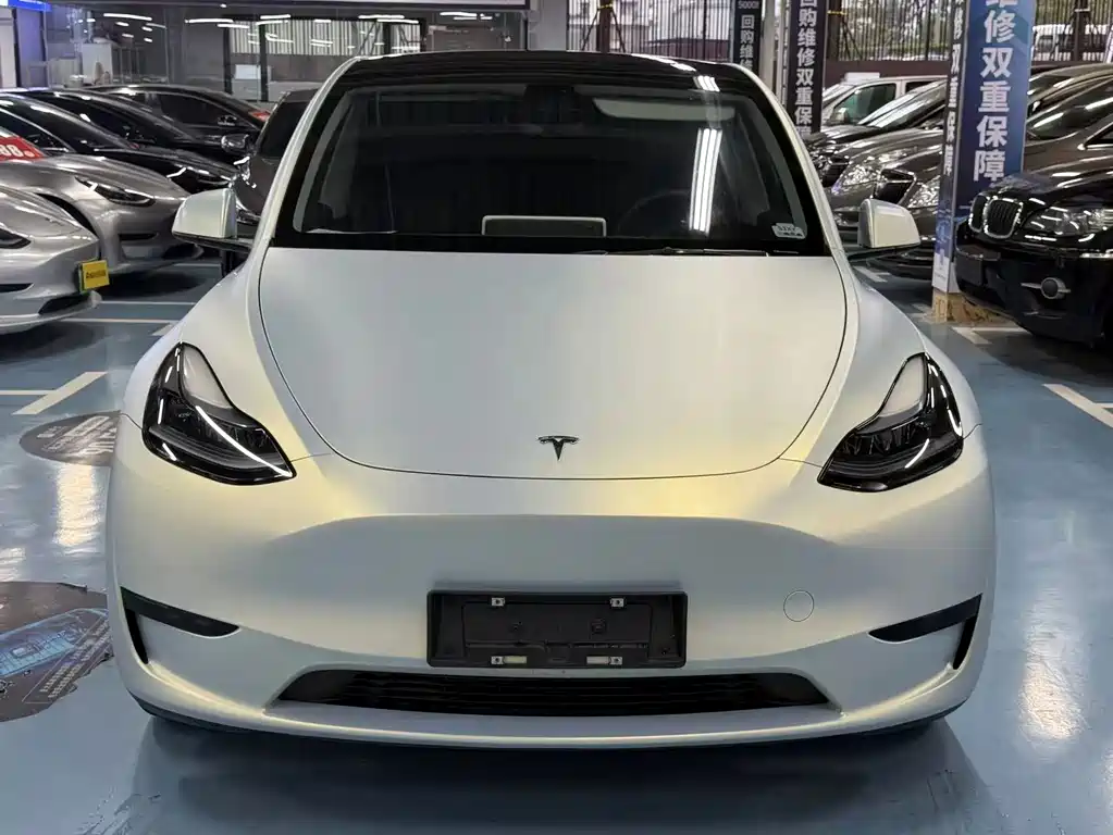 Tesla Model Y — миниатюра 3