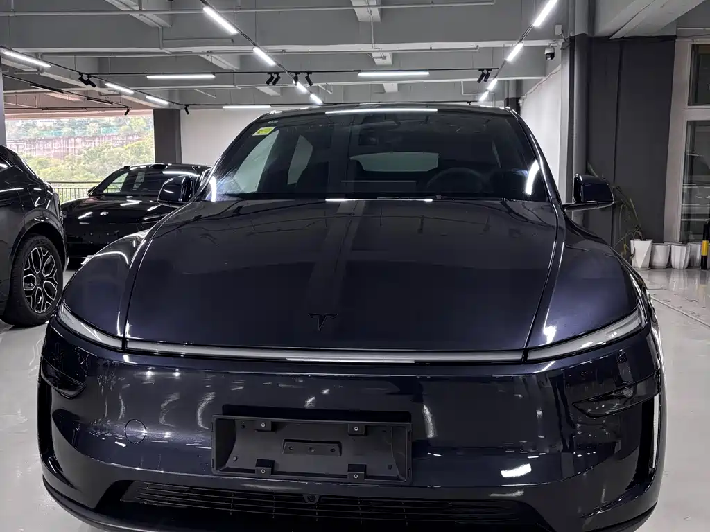 Tesla Model Y — миниатюра 2