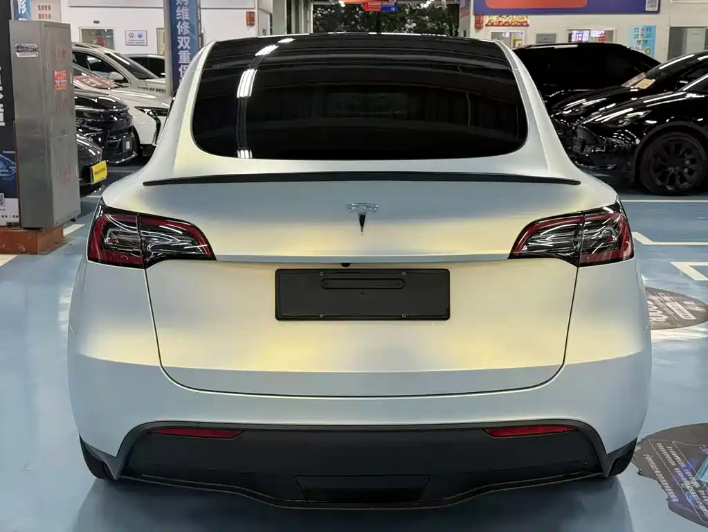 Tesla Model Y — миниатюра 6