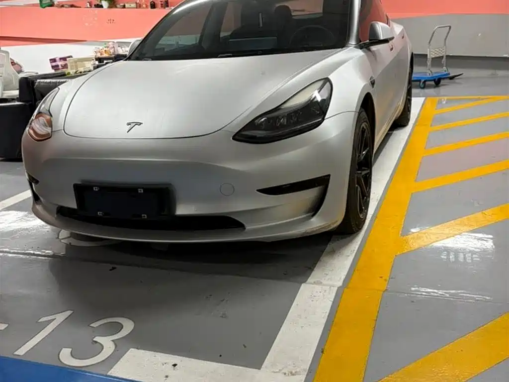 Tesla Model 3 2022
