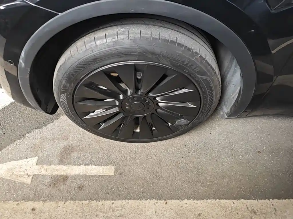 Tesla Model Y — миниатюра 23