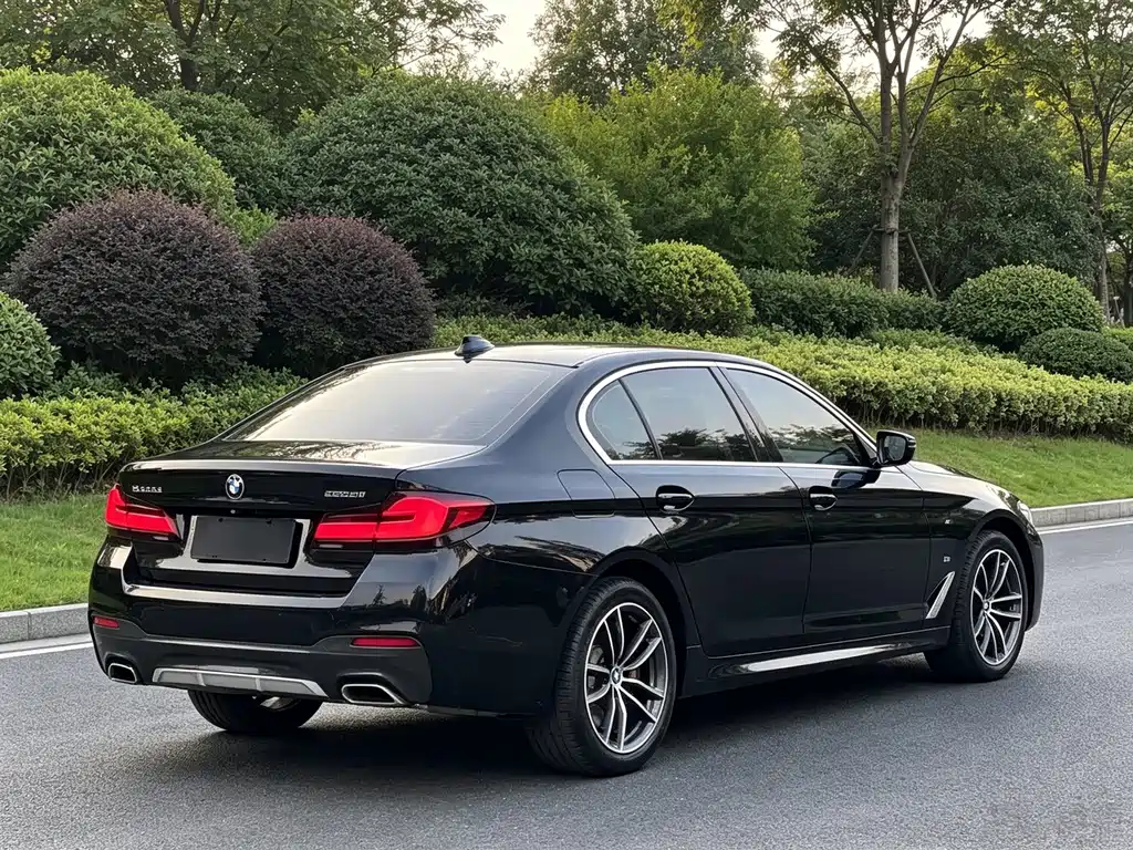 BMW 5 Series — миниатюра 18