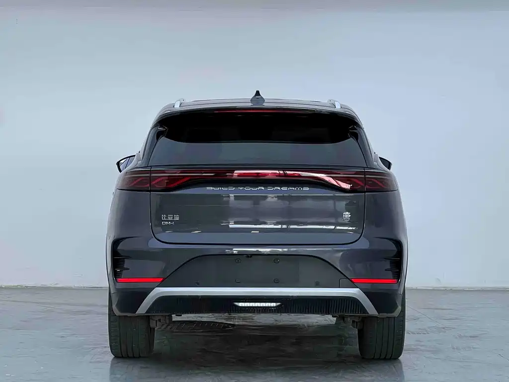 BYD Tang New Energy — миниатюра 8