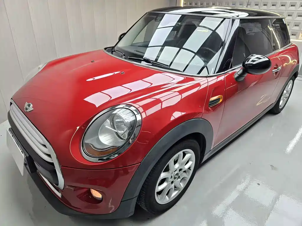 Mini Mini 2015