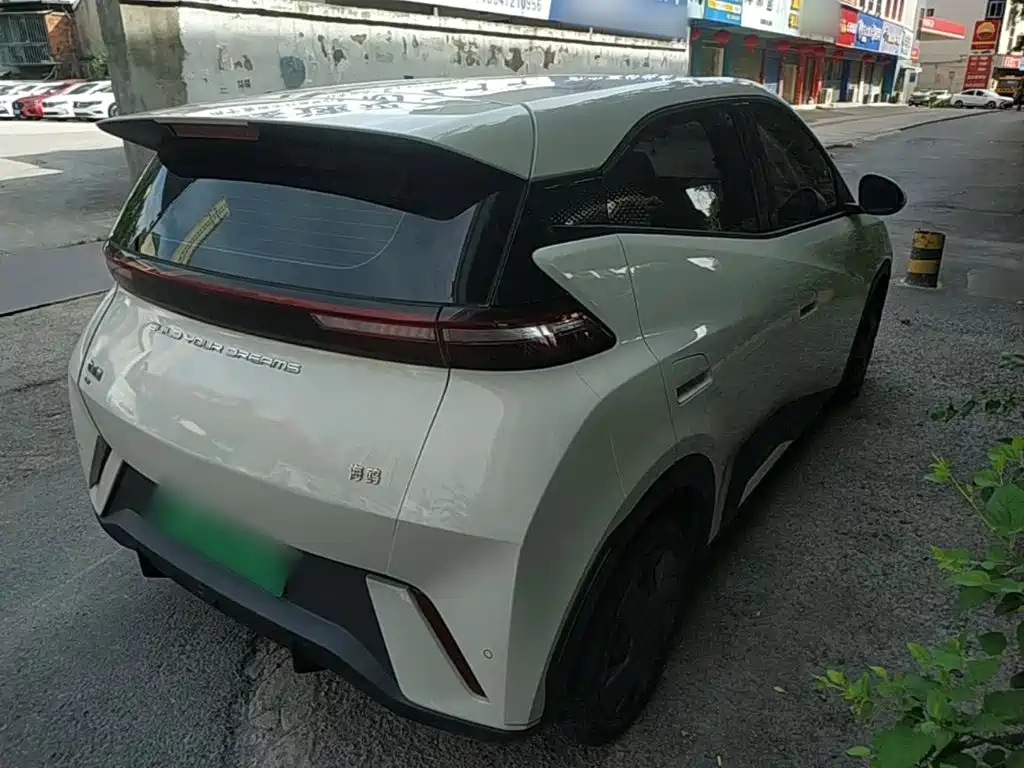 BYD Seagull