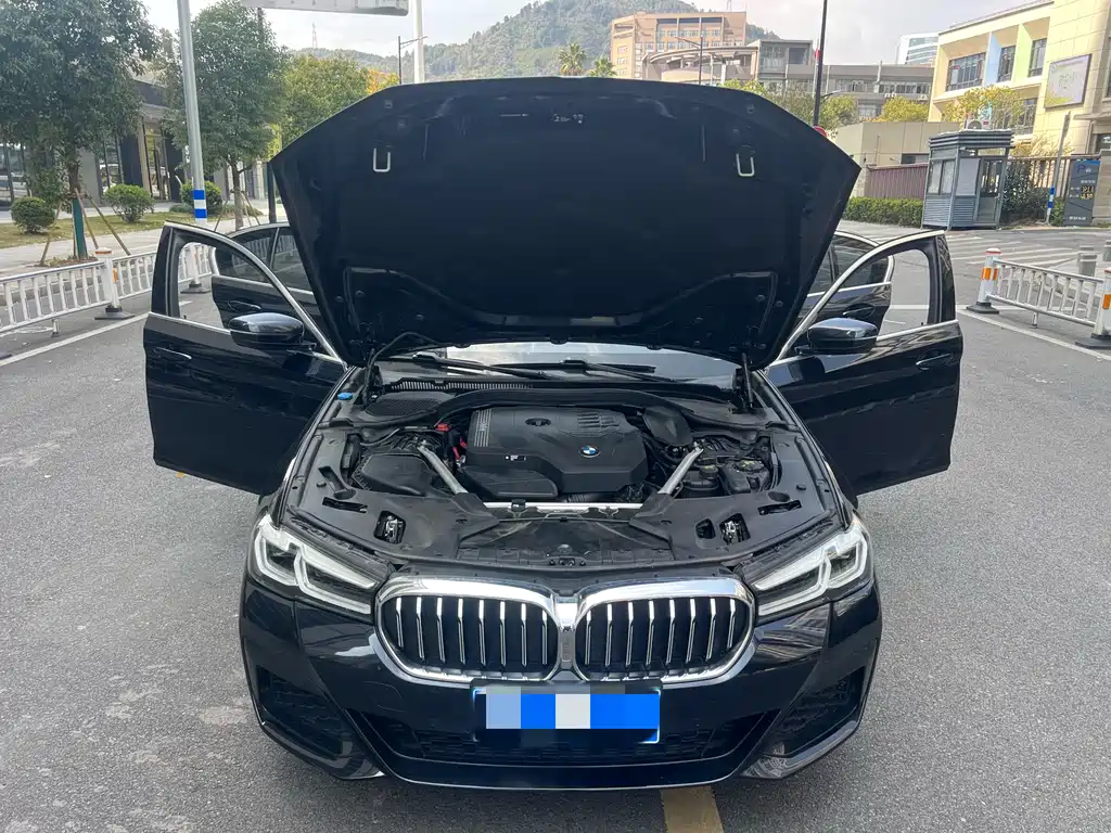 BMW 5 SERIES