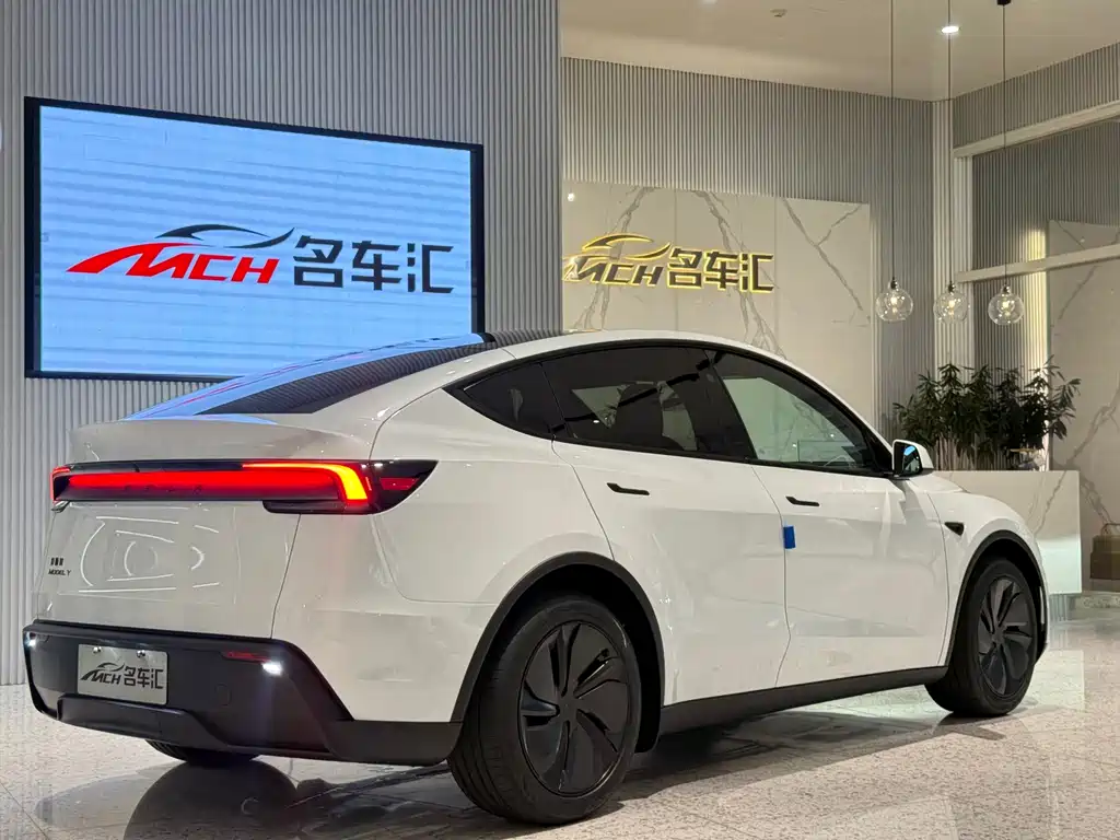 Tesla Model Y — миниатюра 3